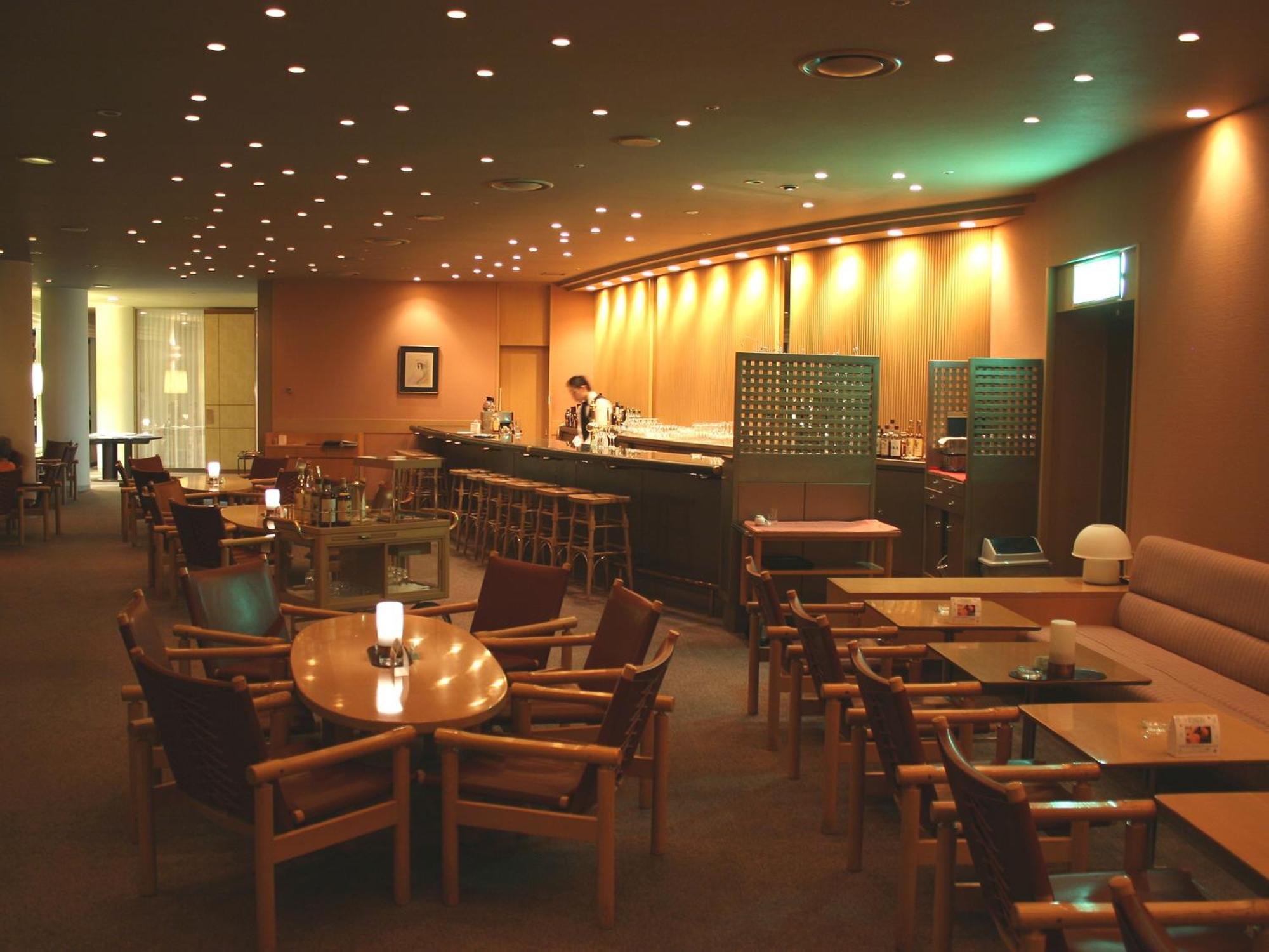 Shin Furano Prince Hotel Екстериор снимка The interior of the lounge