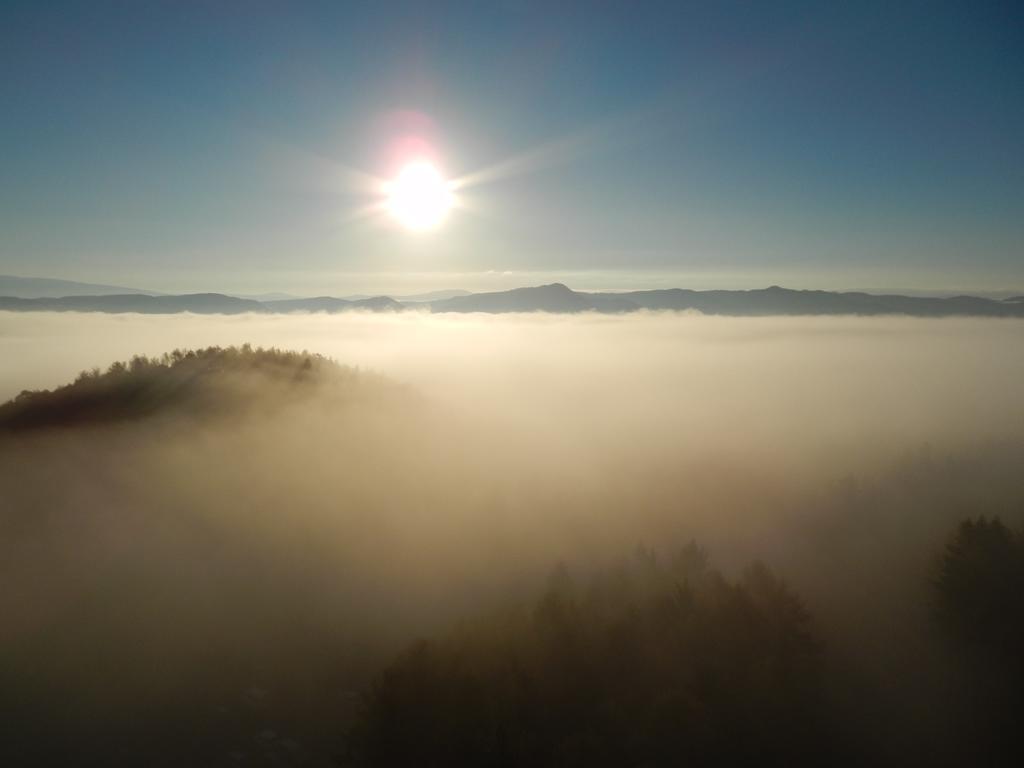 Shin Furano Prince Hotel Екстериор снимка Fog over the Black Forest